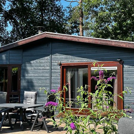 Dubbele Chalet Op Recreatiepark Topparken Op De Veluwe In Beekbergen Met Grote Vrije Tuin En Eigen Parkeerplaats Esterno foto